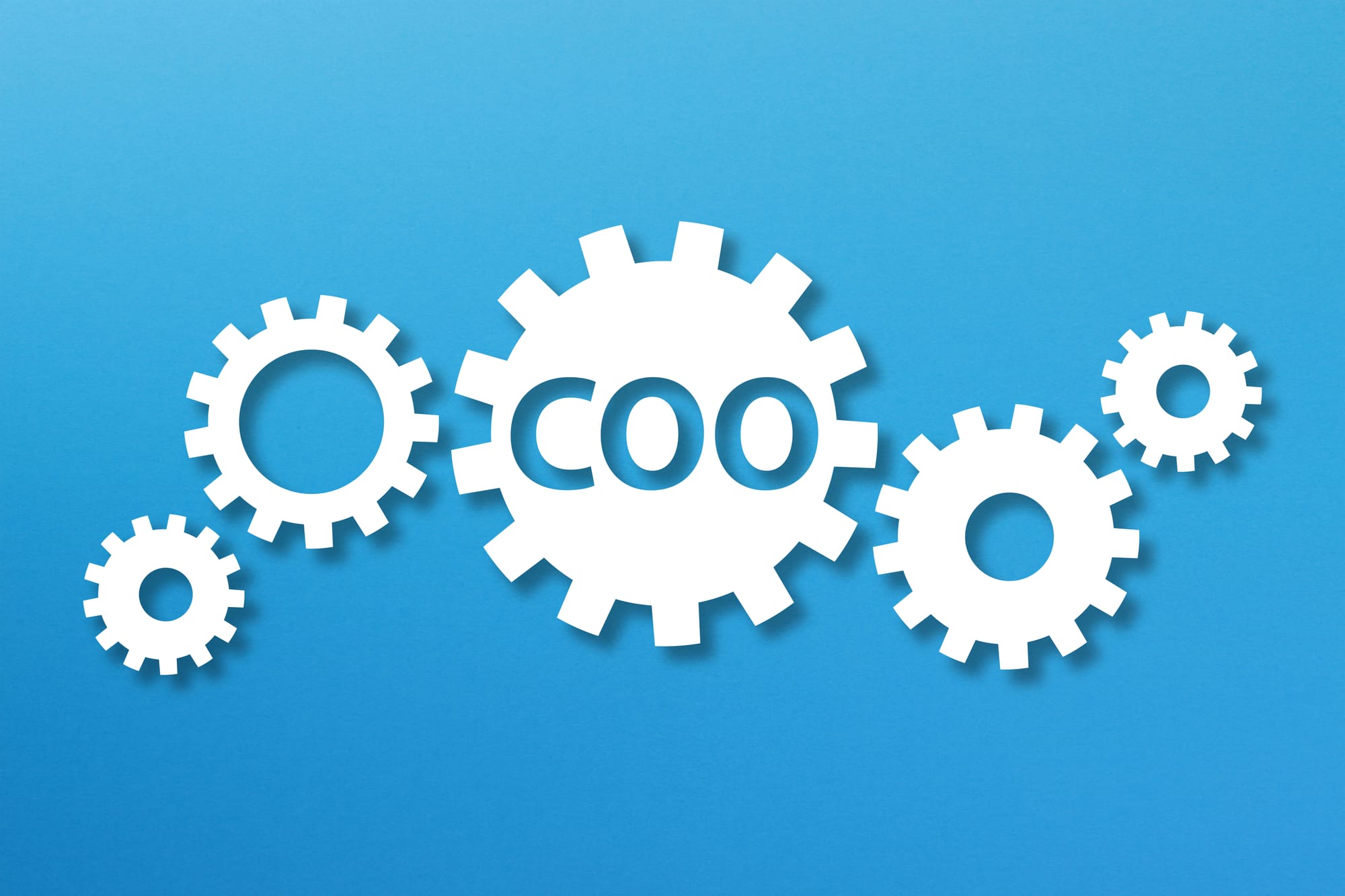 Bridging the Vision-Execution Gap: How Founders and COOs Can Thrive Together