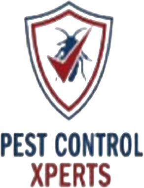Paramount Pest Control Xperts