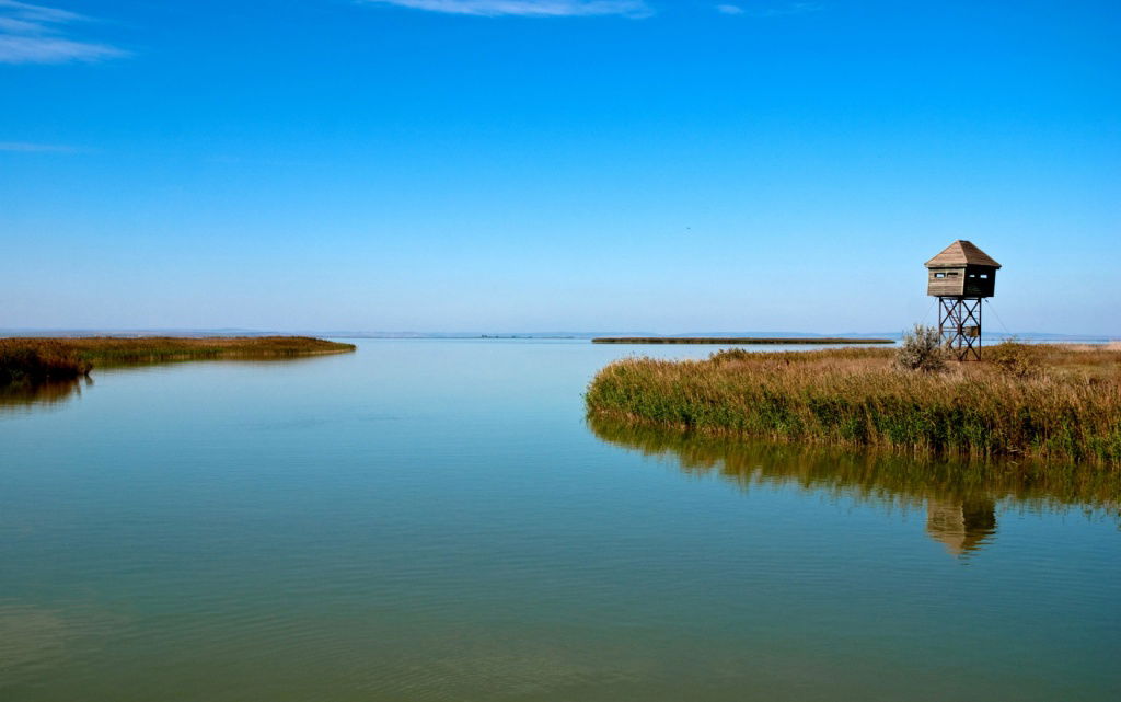 Fotografie și Storytelling în Delta Dunării