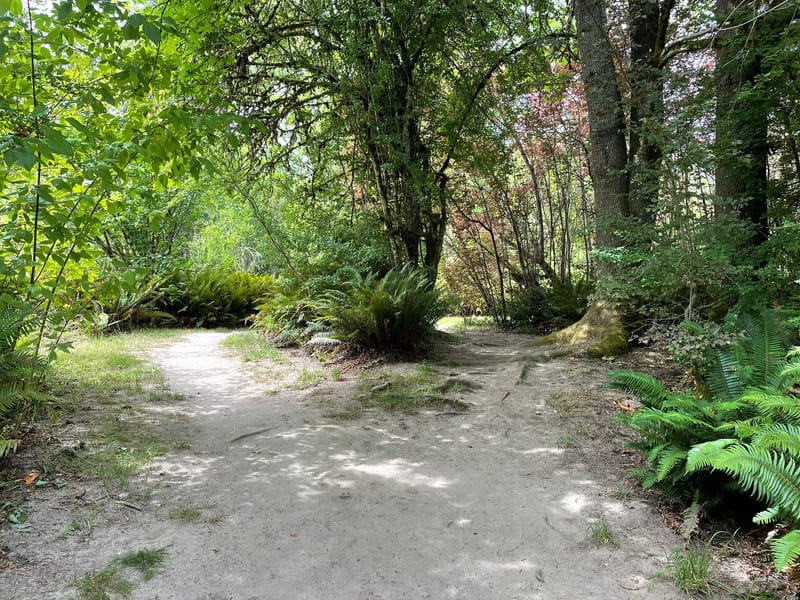 What is the Difference Between Coaching and Counseling?