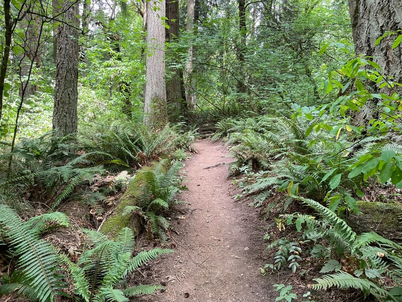 How Can A Grief Coach Help Me?