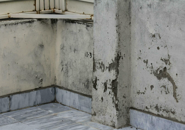 Property Winterization