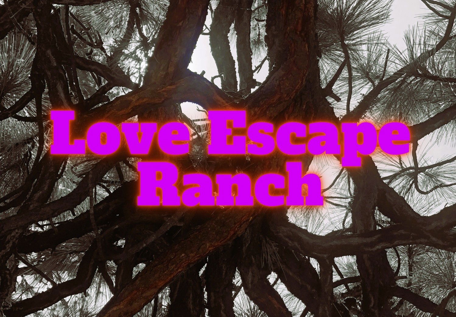 Screenplay: Love Escape Ranch