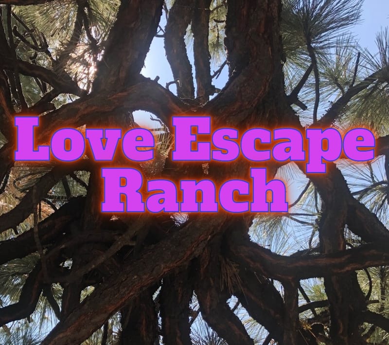 Screenplay: Love Escape Ranch