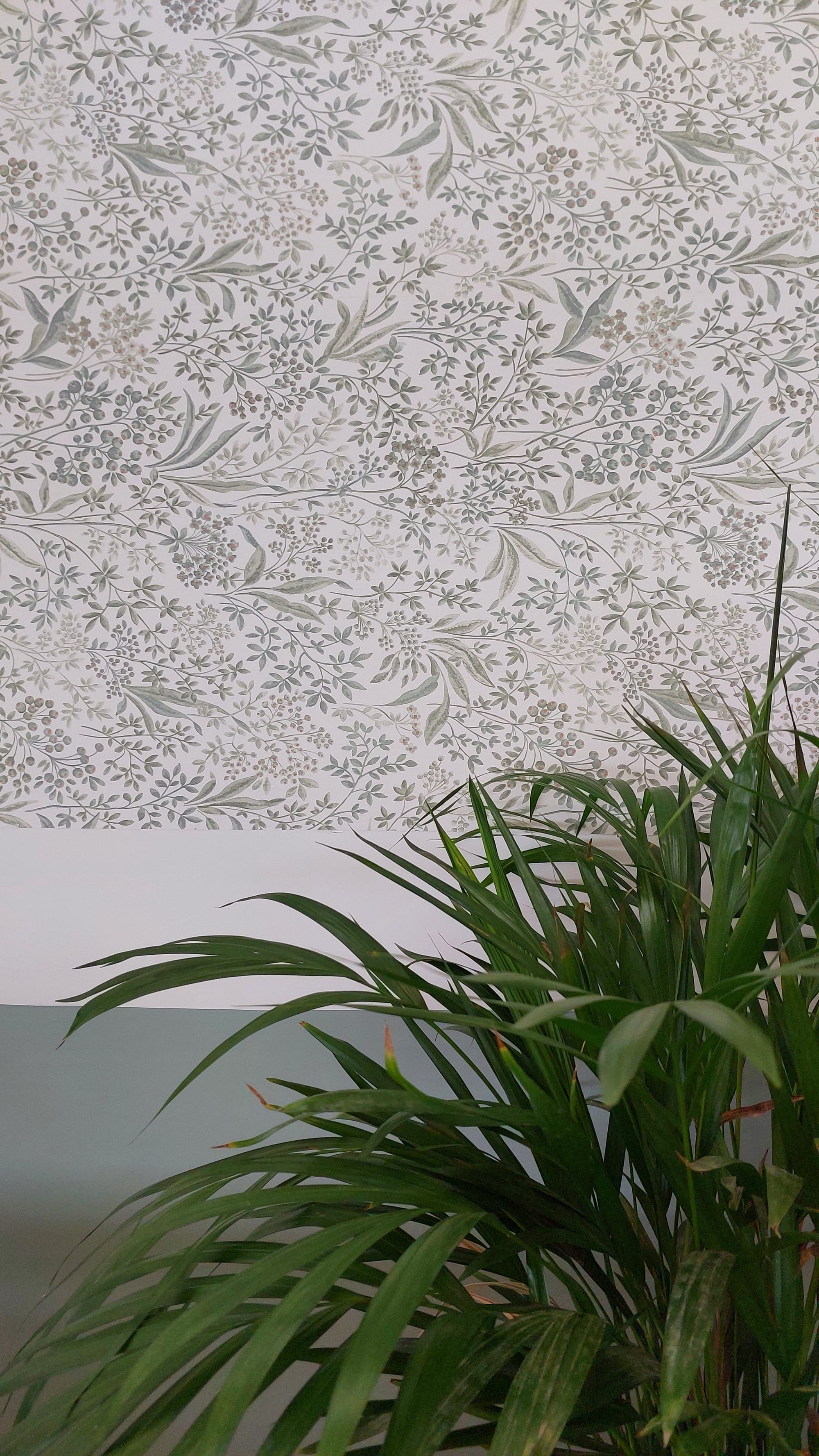 צבע וטפט, משרד IVN