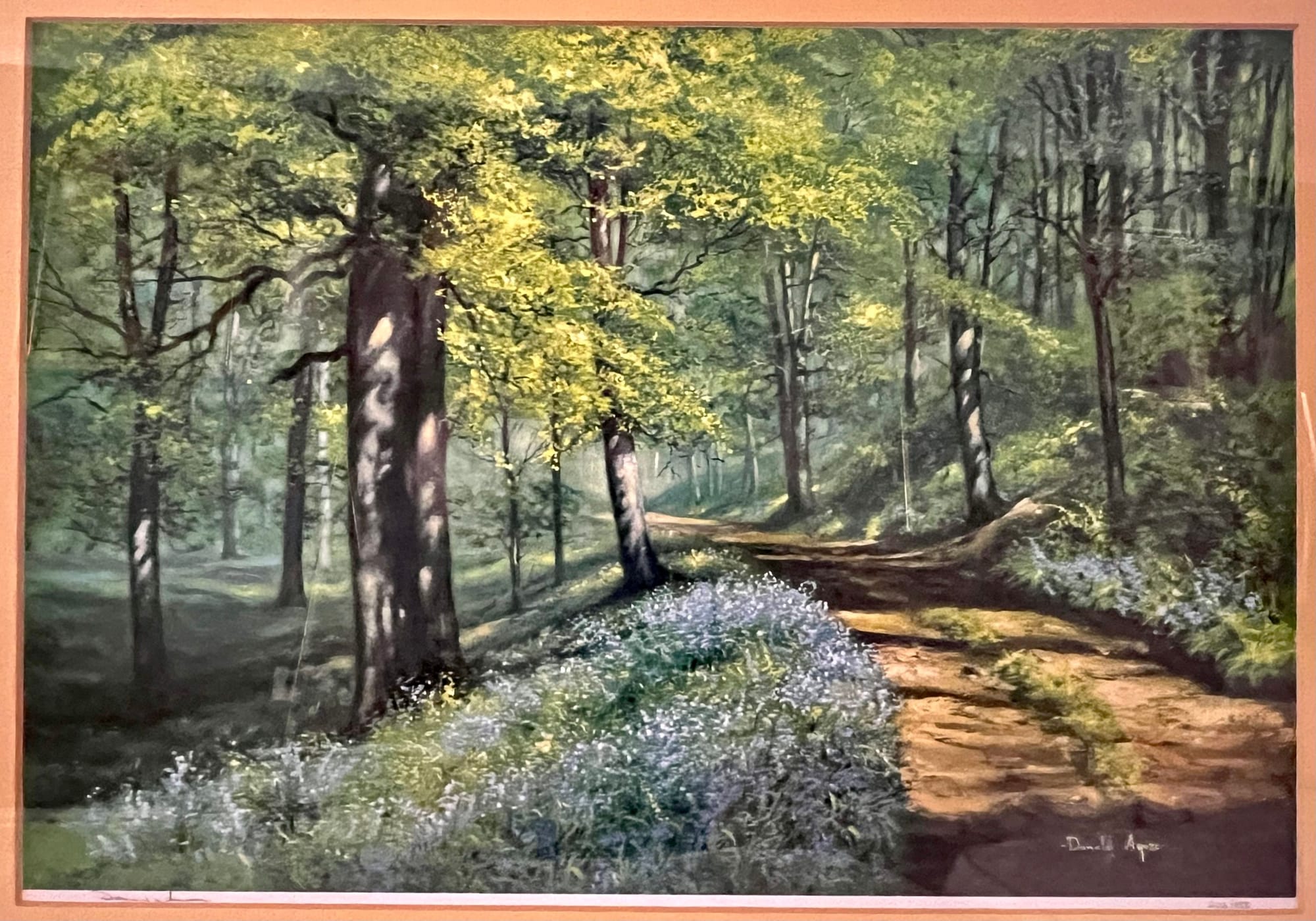 Bluebells at Drumlanrig by Donald Ayres