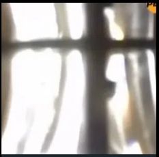 Bosoks Project Part 5