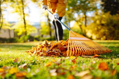 🍂🧼 Autumn Prep: Cleaning Tasks Before the Cold Sets In