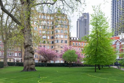 🏢 Why Businesses in Smithfield & Stoneybatter Trust Professional Office Cleaners