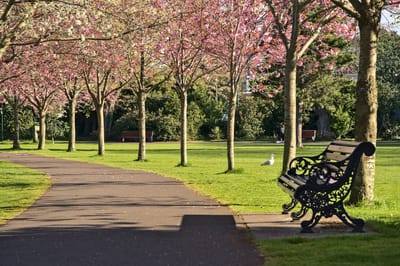 🏙️✨ Top 10 Cleanest Neighborhoods in Dublin — Where Sparkle Meets Lifestyle