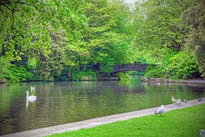 🌿🏞️ The Cleanest Parks and Green Spaces in Dublin You’ll Want to Picnic In