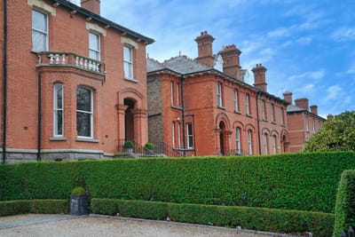 🧼🏡 What Makes a Dublin Neighbourhood Truly ‘Clean’ — Beyond Just Swept Streets