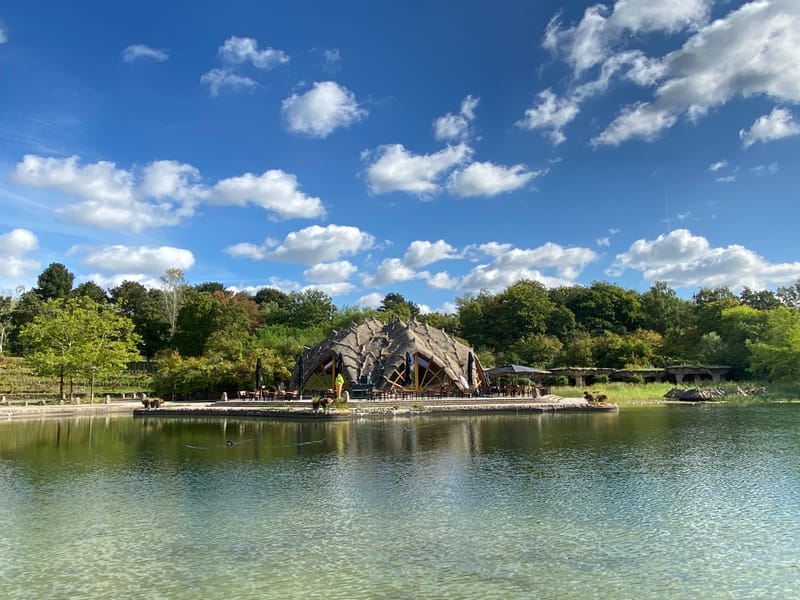 Seestern Britzer Garten