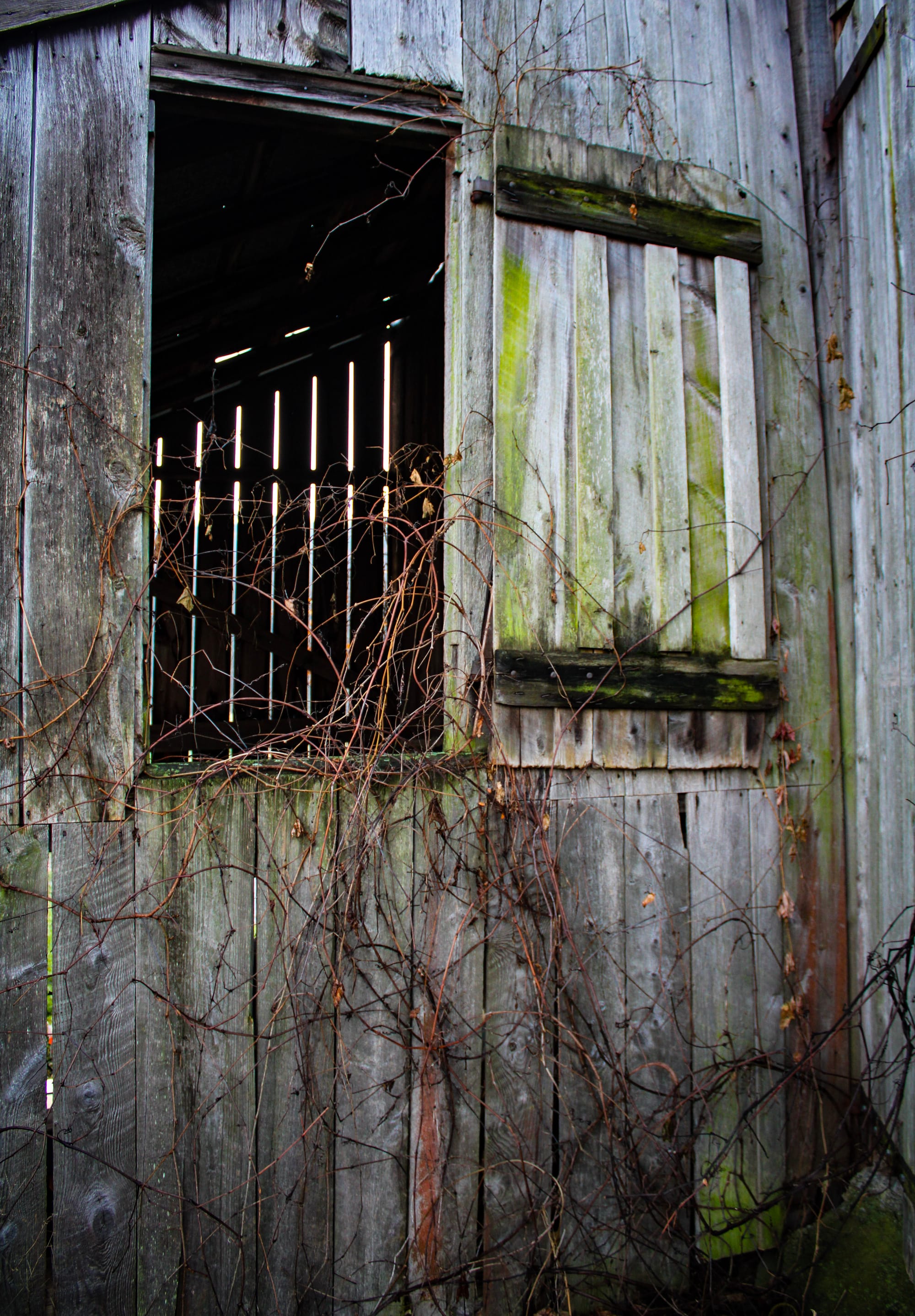 Weathered Inheritance