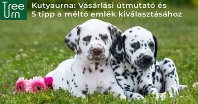 🐾 Hogyan őrizheted meg szeretett kutyád emlékét méltó módon?