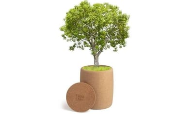 A faurna jelentése – a halál újragondolása, a gyász gyógyítása és az élet ültetése