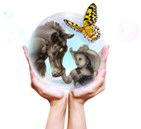 association Solene Lesot