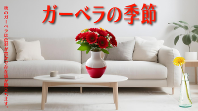 ガーベラの季節