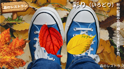 紅葉の森のレストラン