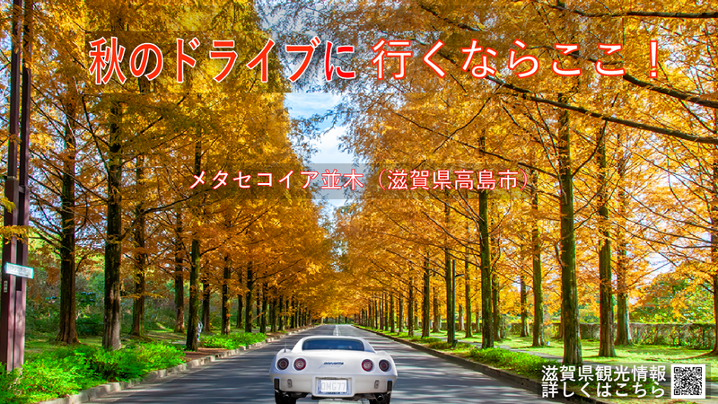 秋のドライブに行くならここ