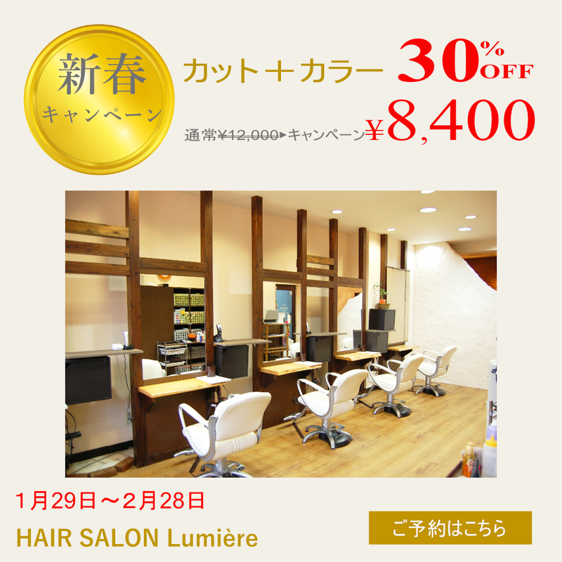 【作品名：ヘアサロン新春キャンペーンバナー】