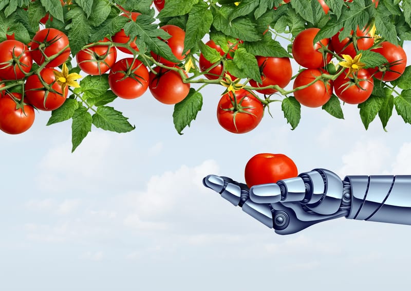 3.Agriculture & agroalimentaire