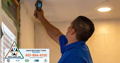 Mold Removal in Orlando: Fast Solutions to Protect Your Property
