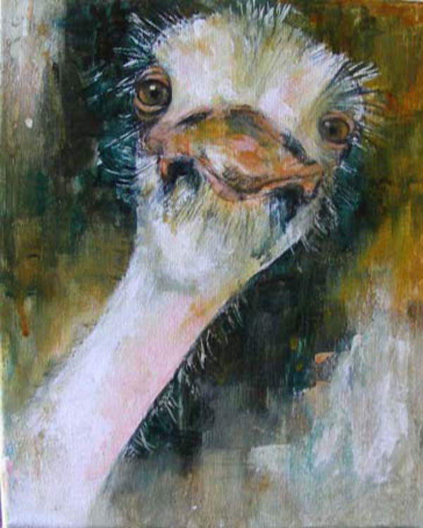  Autruche portrait