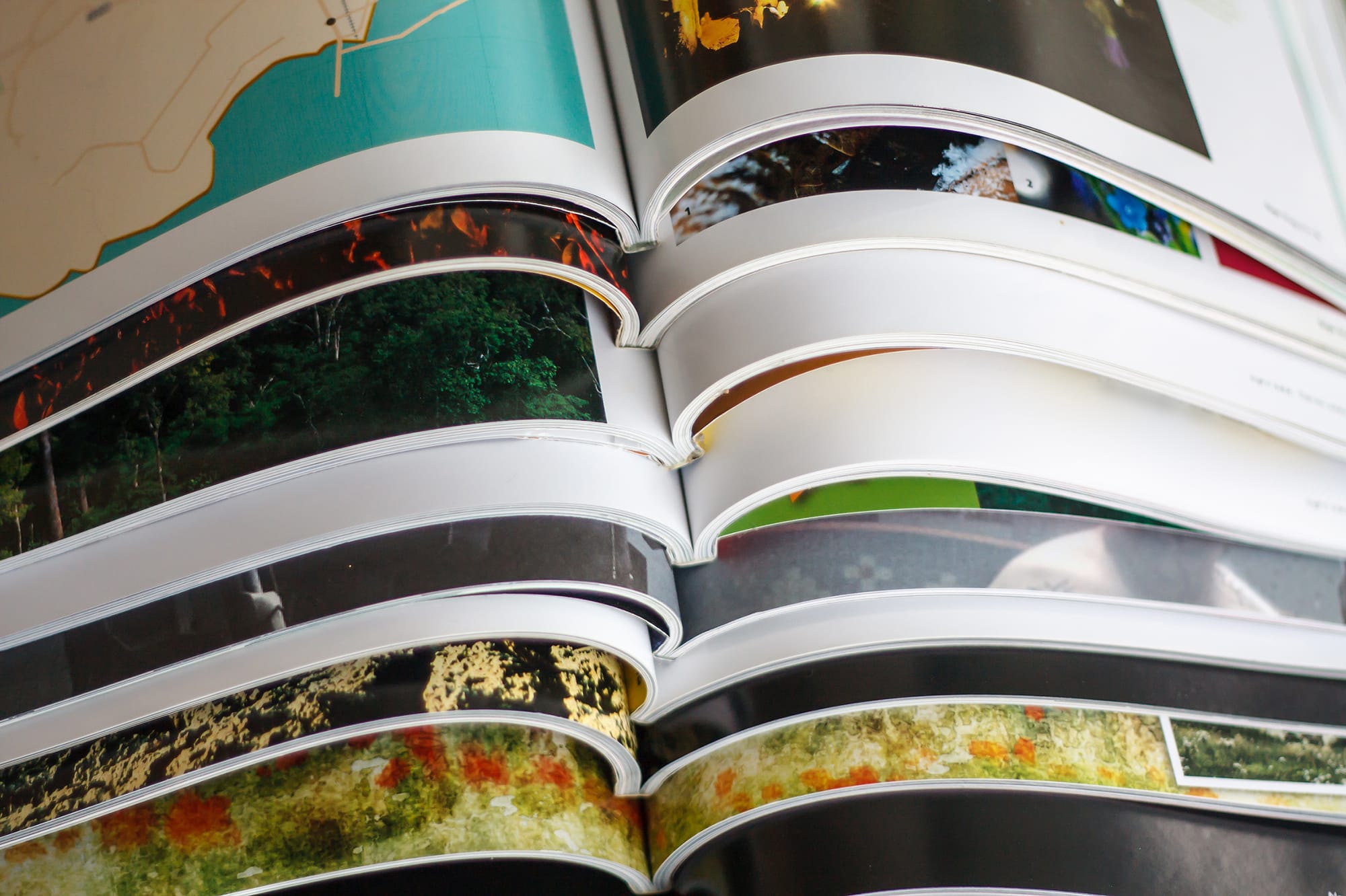 Revistas Profesionales