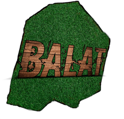 Villagebalat.com