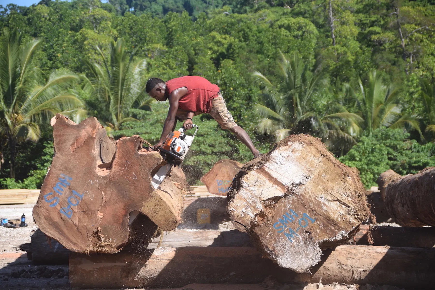 Agribusiness & forestry