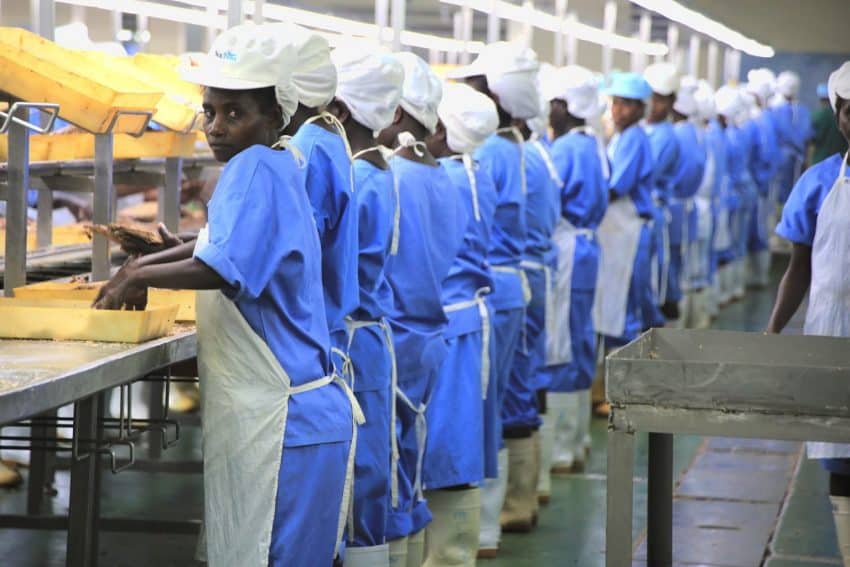 5. Young, vibrant and educated labor workforce