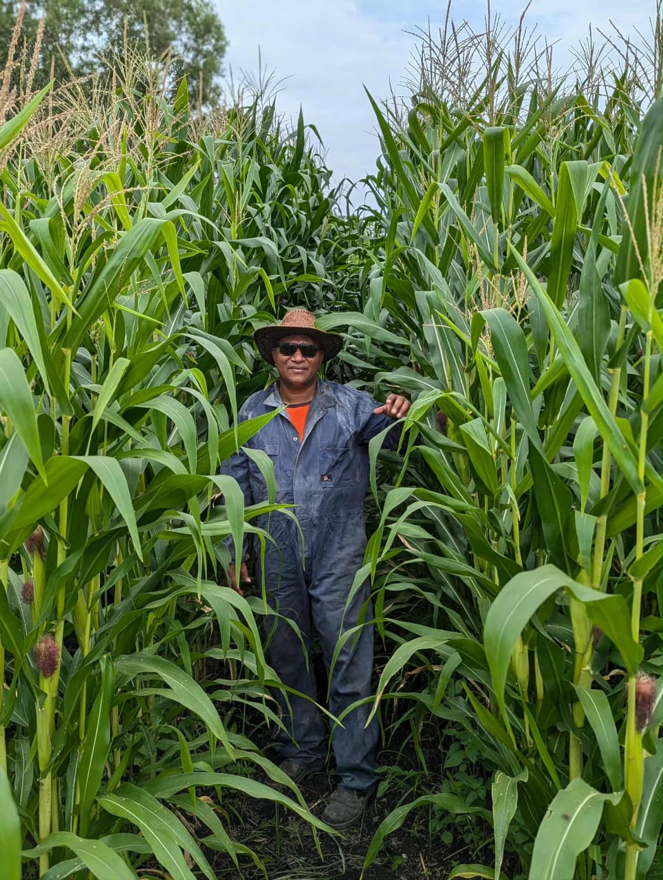 Agriculture Sector Growth Strategy and Investment Plan 2021-2030