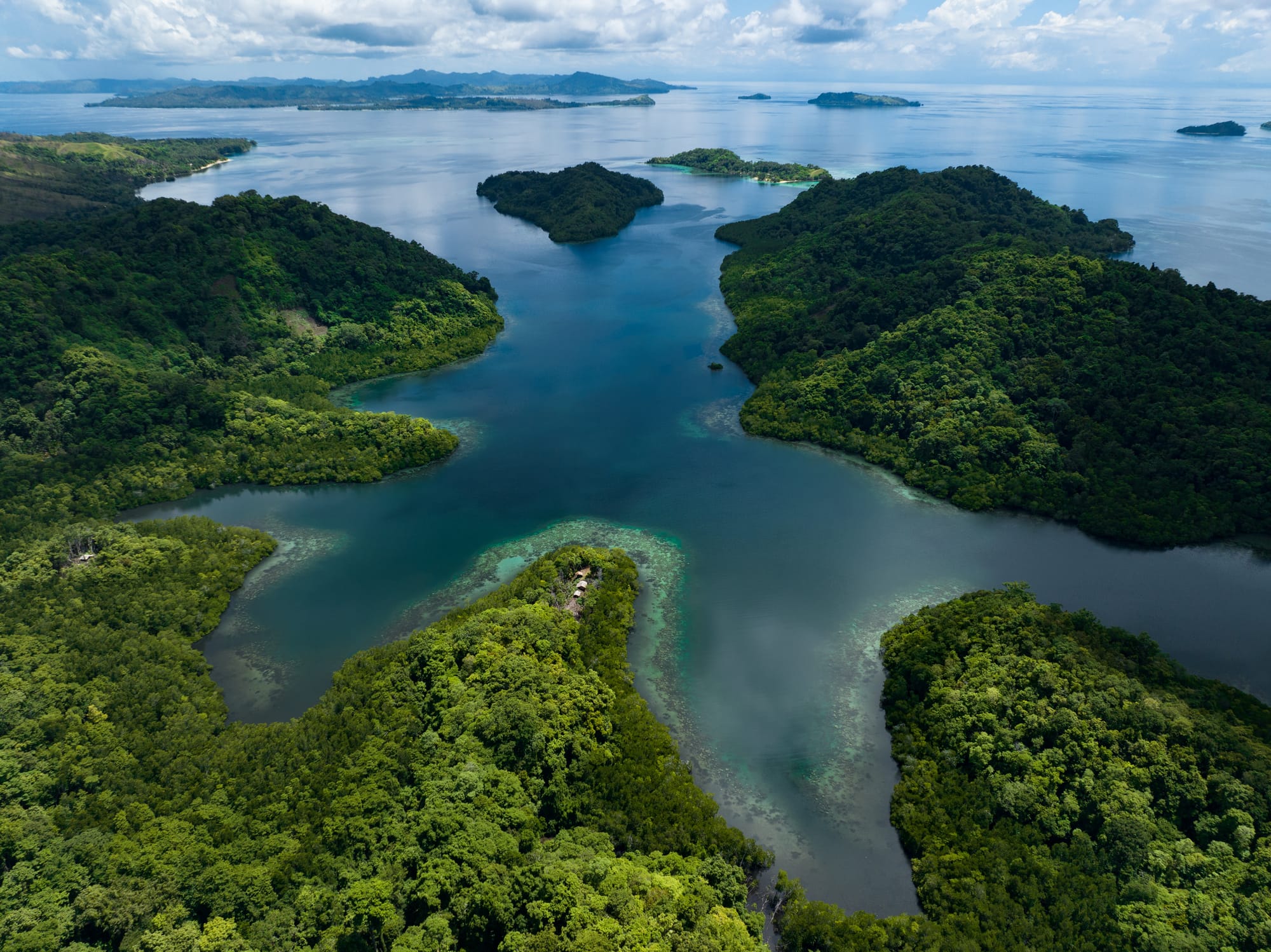 6. Top performer in environmental sustainability