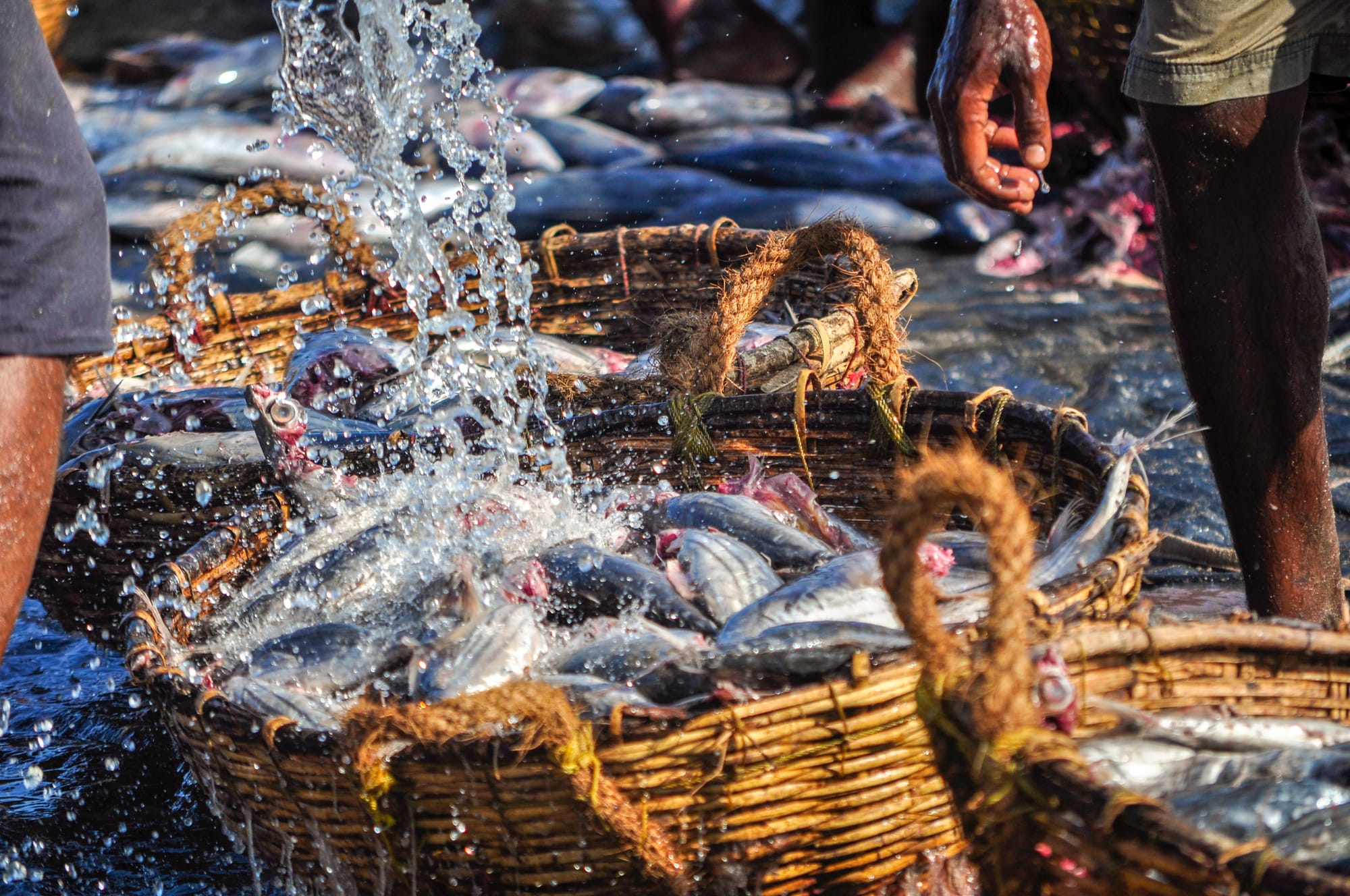 National Fisheries Policy 2019-2029