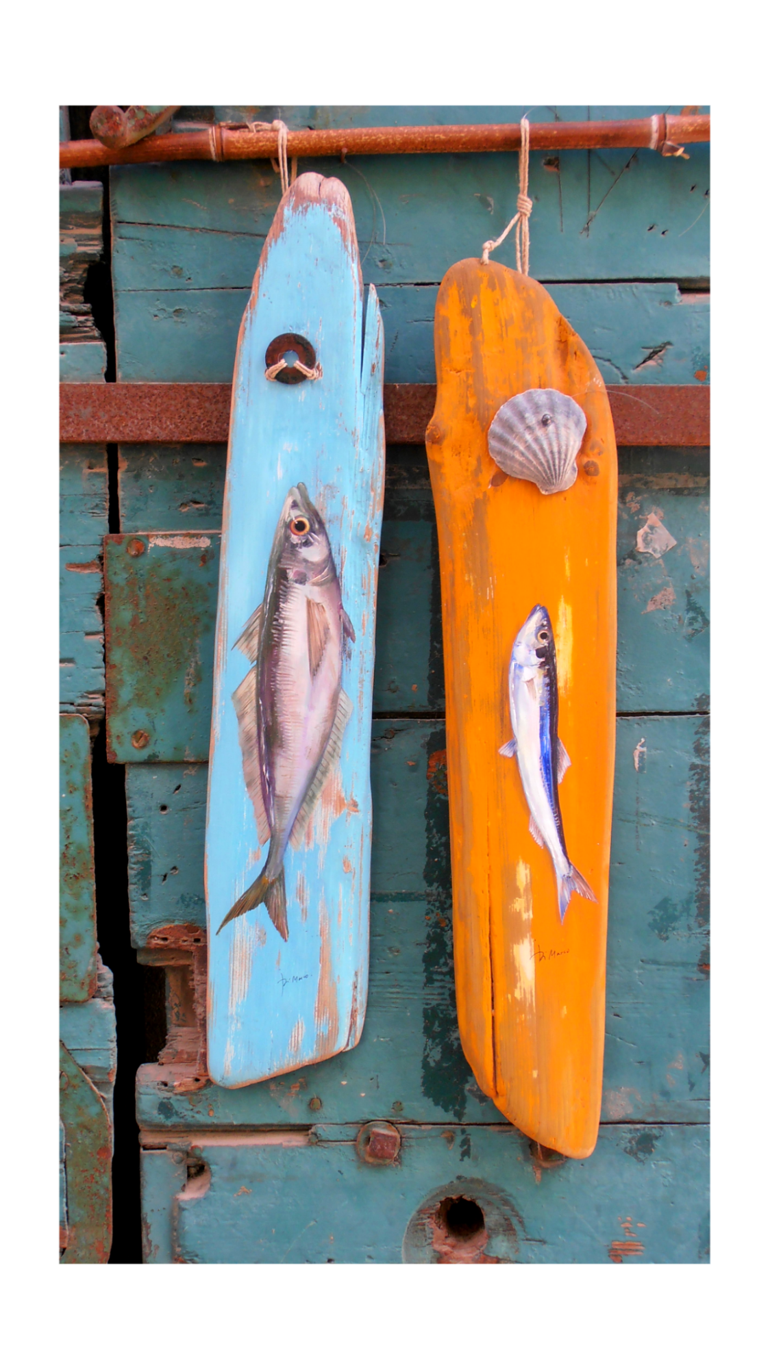 Sévereau et sardine