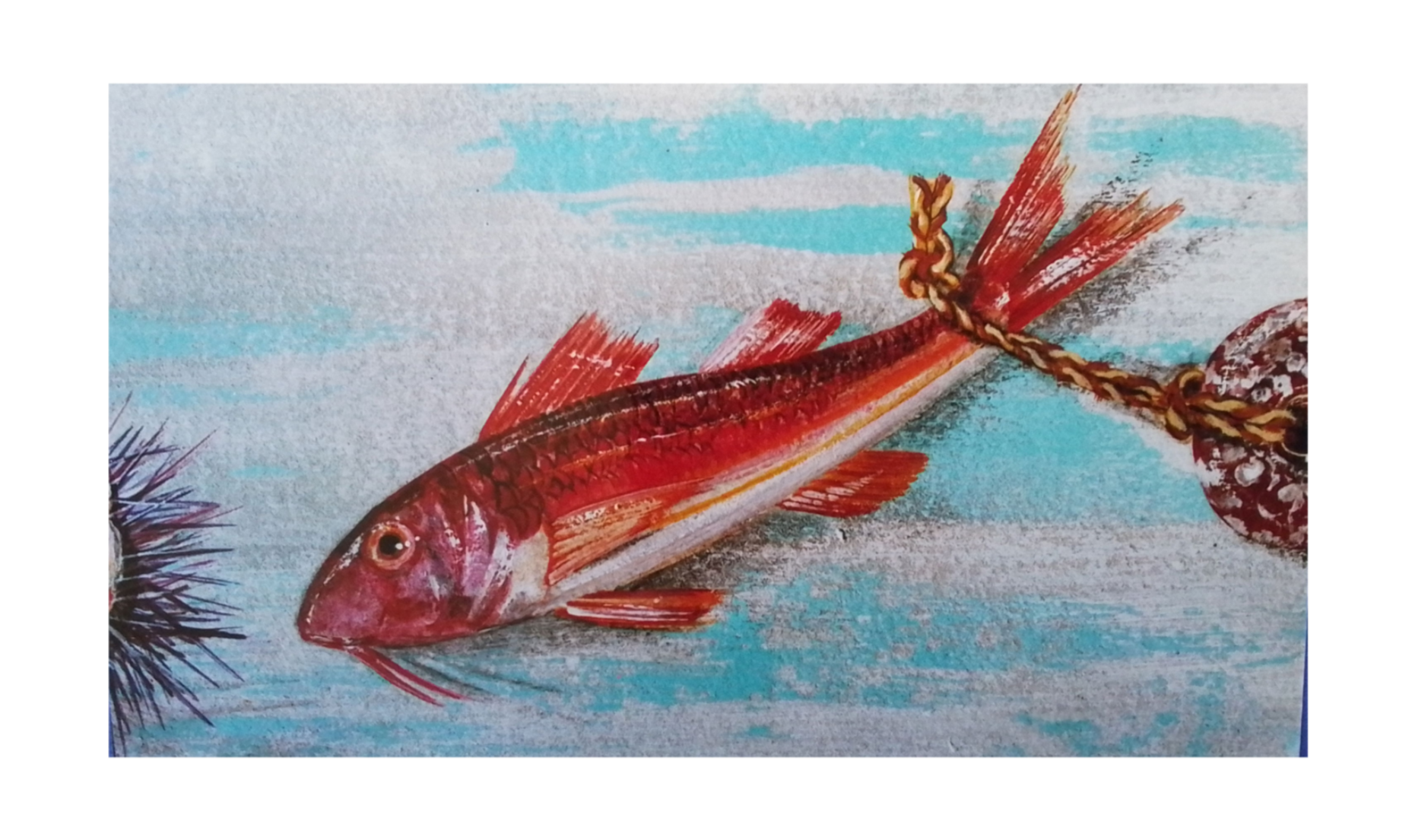 Rouget sur papier