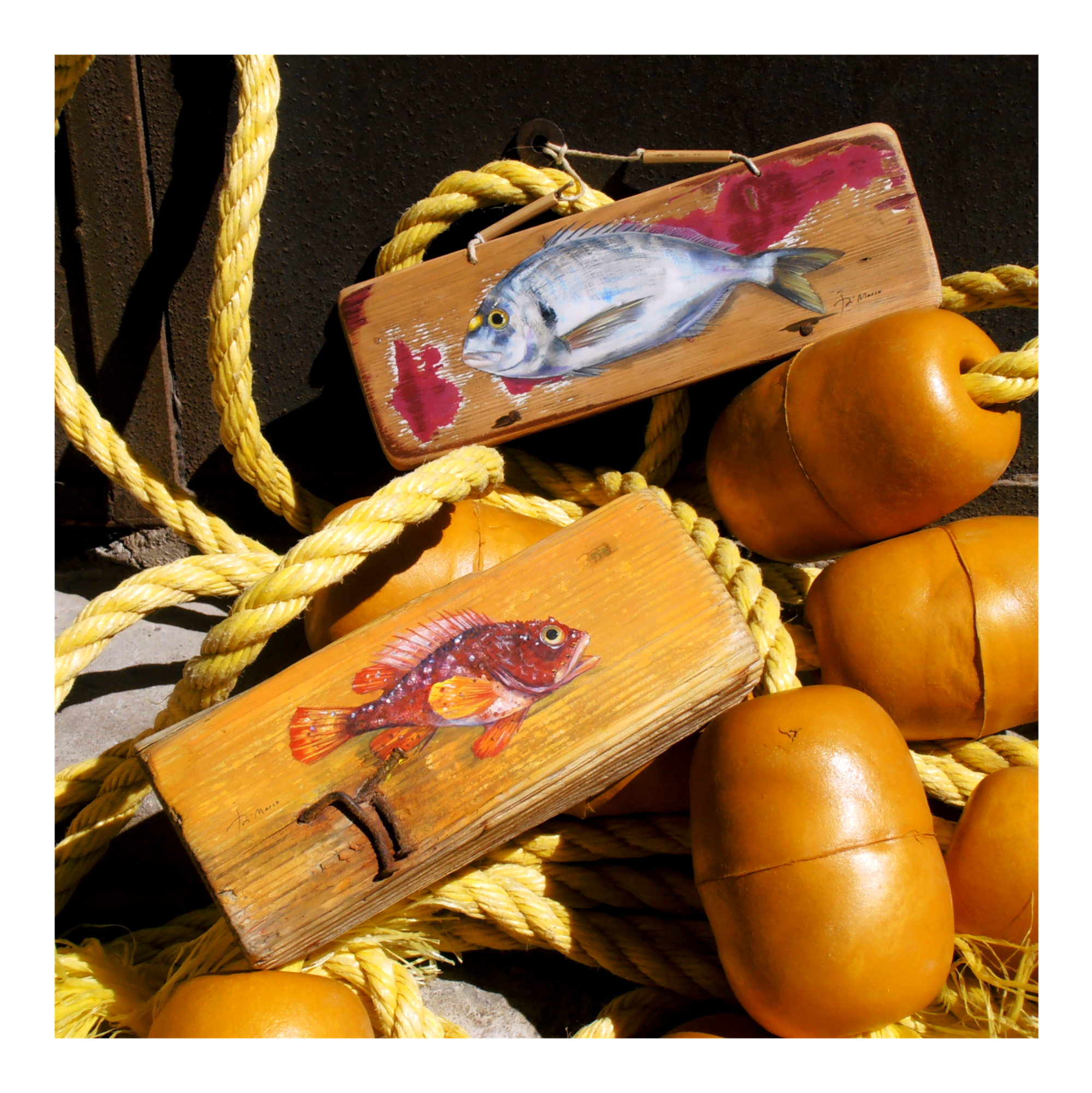 Dorade royale et rascasse