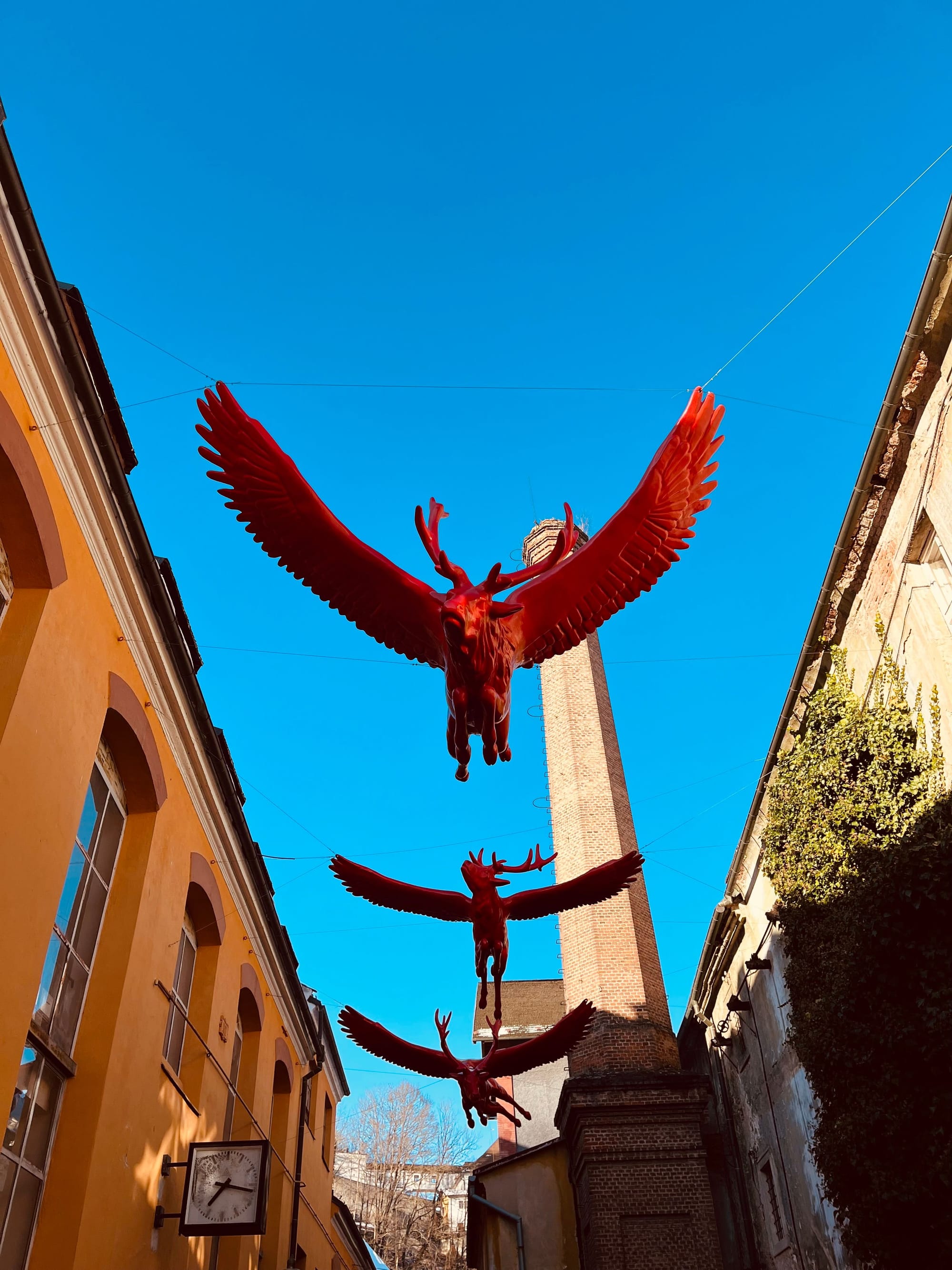 Michal Gabriel v České Krumlově