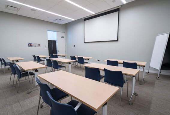 ✨ Exclusive Investors Lounge