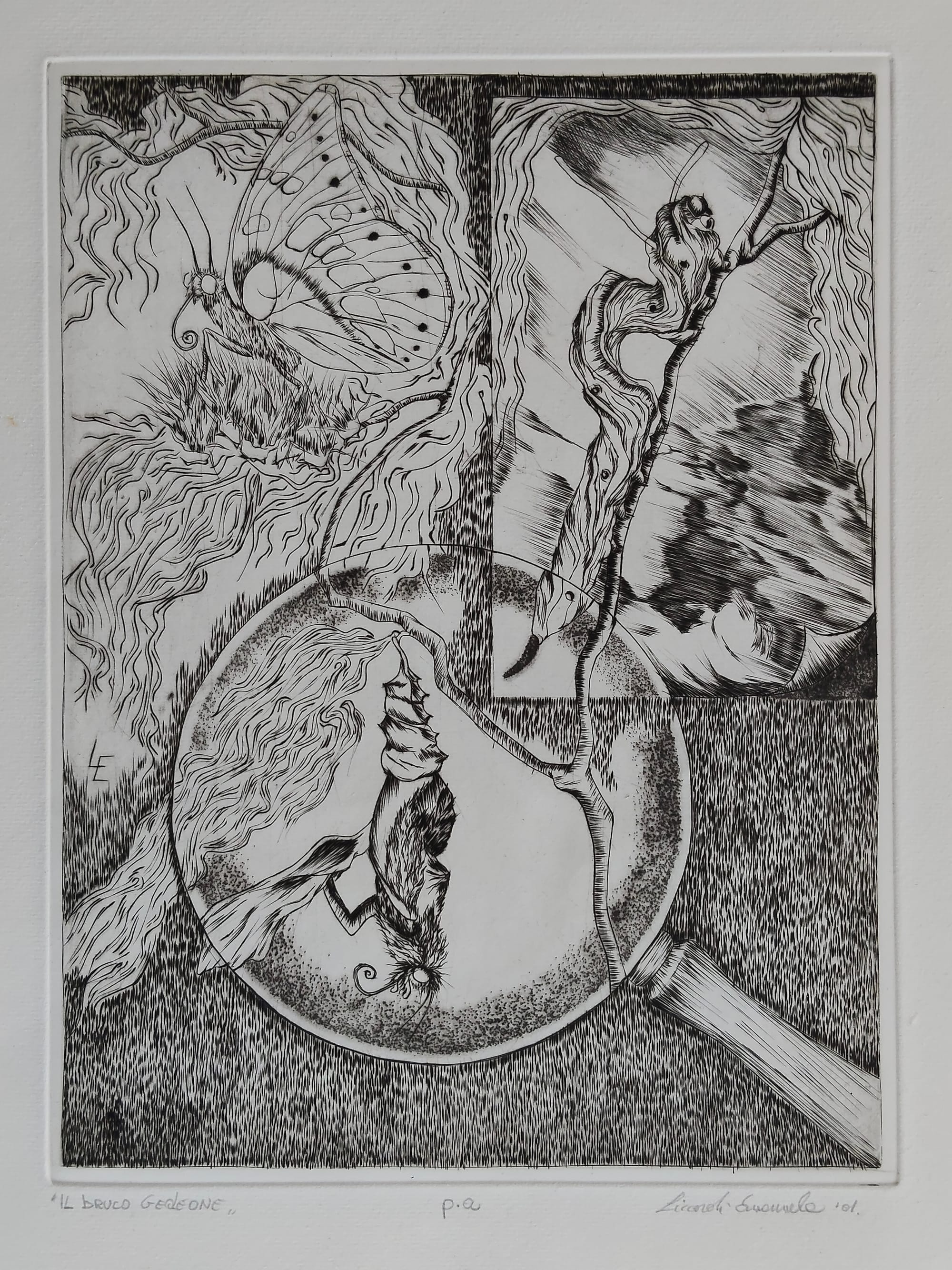 “Il bruco Gedeone”