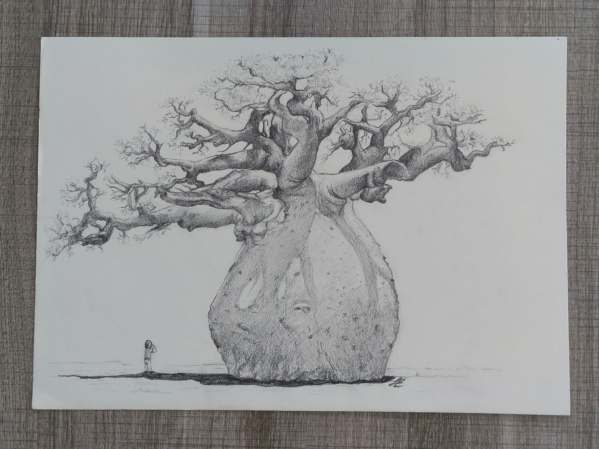 “Semplicemente…. Baobab!”