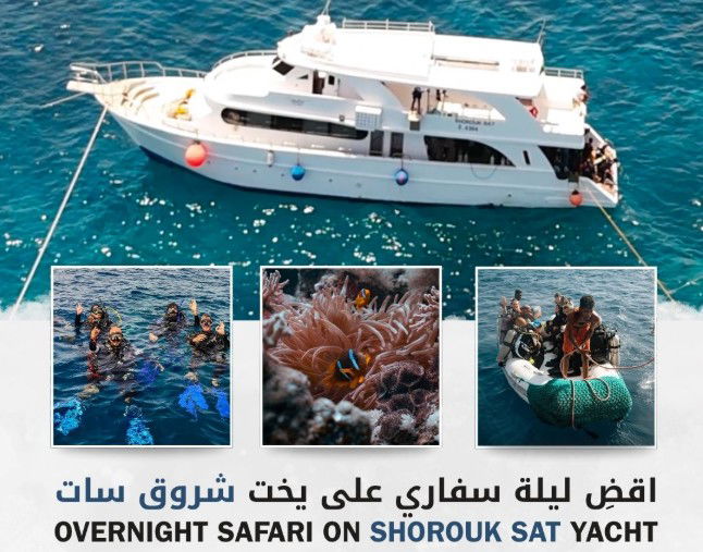 رحلات بحرية وسفاري جده |  Cruises and safaris Jeddah
