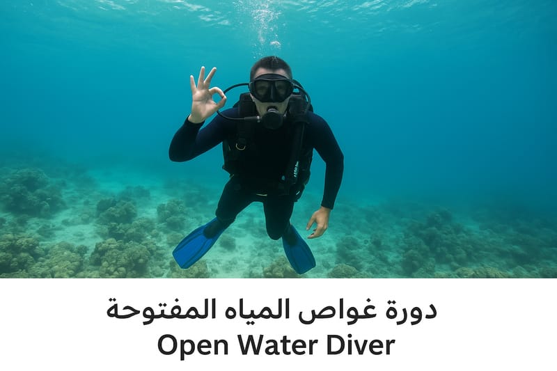 دورة غواص المياه المفتوحة | Open Water Diver