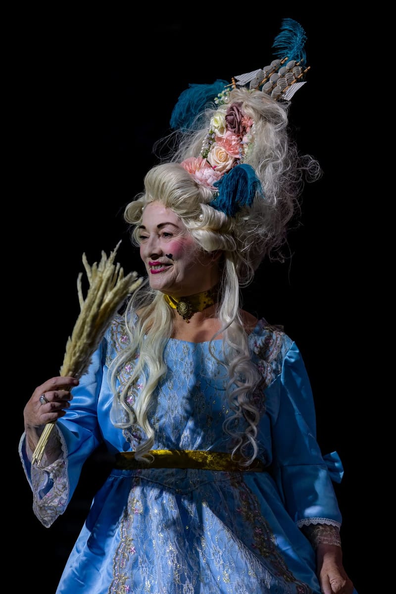 A collection of various wigs