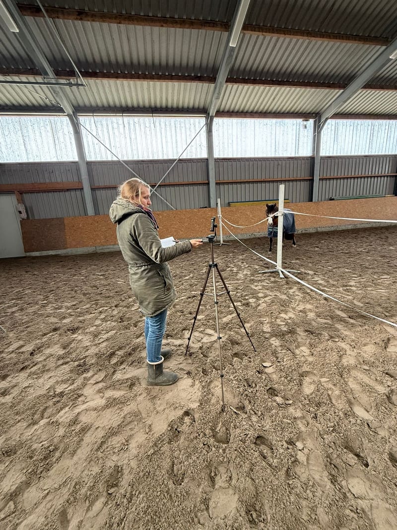 R.E.Z.P.I.R.E - Sieben Schlüssel zur nachhaltigen Veränderung