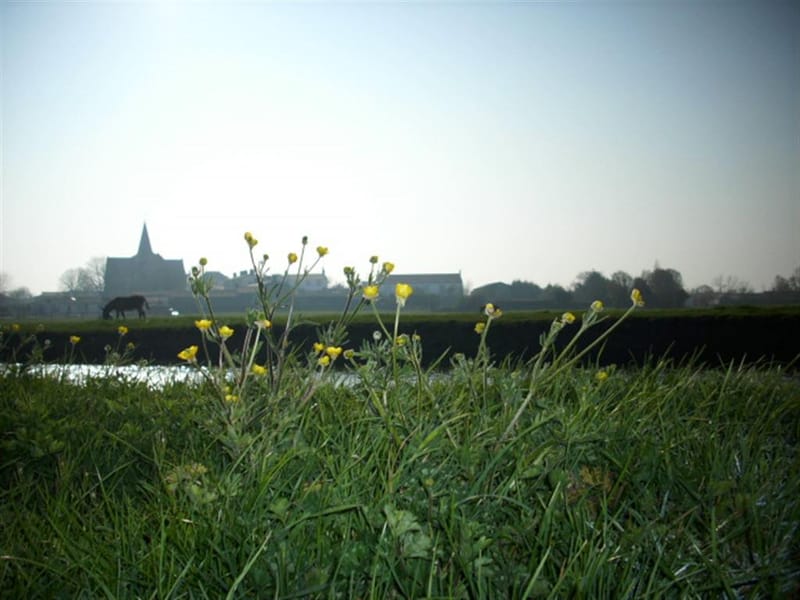 Résidence au coeur du village avec vue sur le marais