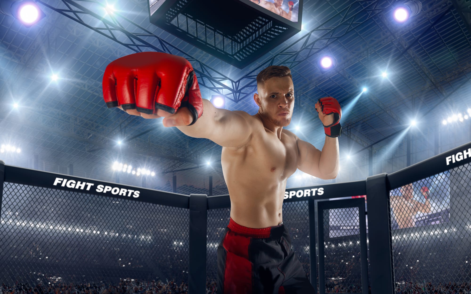 Winamax et les paris sportifs sur le MMA