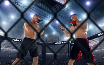 Comparaison des Plateformes de Streaming pour Combats de MMA