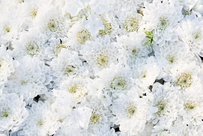 איך לבחור זר סבון מושלם כמתנה?